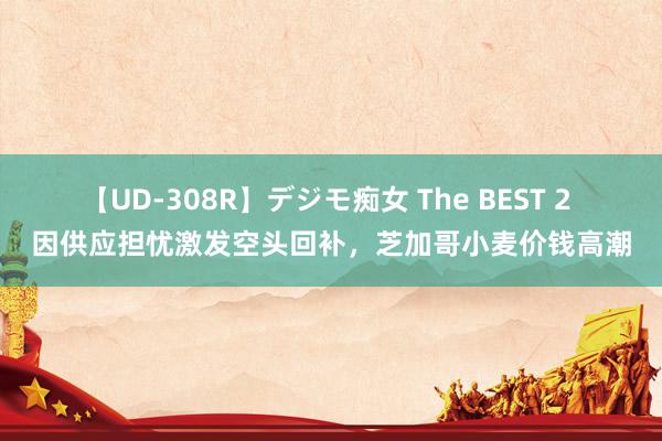 【UD-308R】デジモ痴女 The BEST 2 因供应担忧激发空头回补，芝加哥小麦价钱高潮