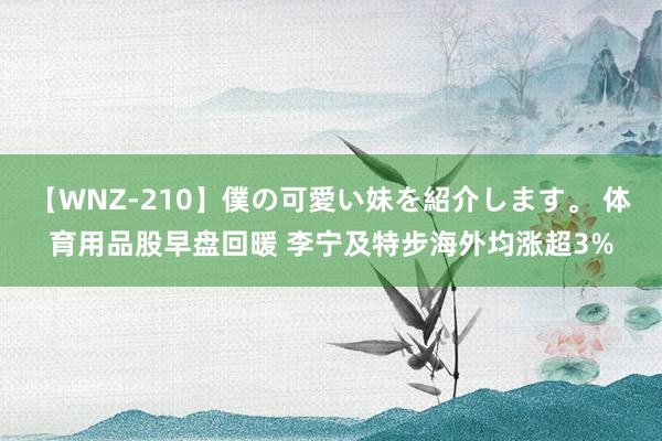 【WNZ-210】僕の可愛い妹を紹介します。 体育用品股早盘回暖 李宁及特步海外均涨超3%