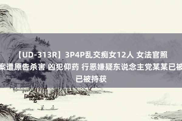 【UD-313R】3P4P乱交痴女12人 女法官照章办案遭原告杀害 凶犯仰药 行恶嫌疑东说念主党某某已被持获