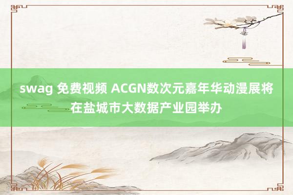 swag 免费视频 ACGN数次元嘉年华动漫展将在盐城市大数据产业园举办